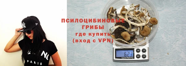 круглые Абаза