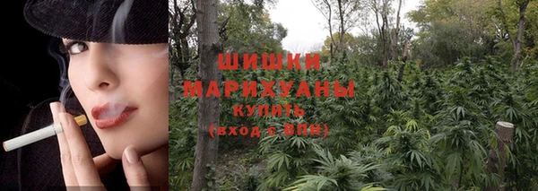 круглые Абаза