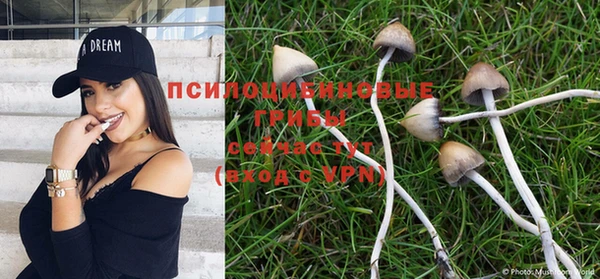 индика Нефтегорск