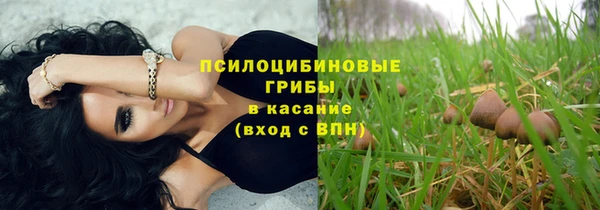 круглые Абаза