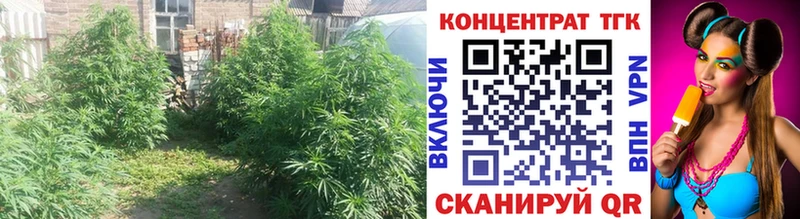 ТГК Wax где найти мориарти как зайти Подпорожье