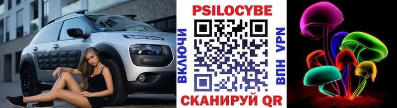 Галлюциногенные грибы Psilocybine cubensis  Подпорожье 